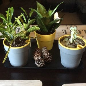 Meet your Posher, Itzel